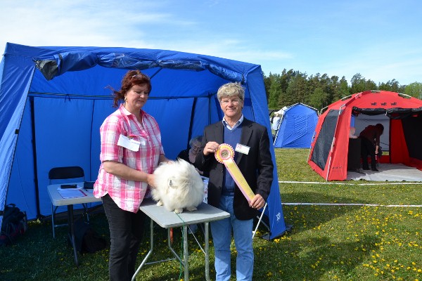 Denna bild har ett alt-attribut som Ã¤r tomt. Dess filnamn Ã¤r DSC_0375-Kopia-600x400.jpg