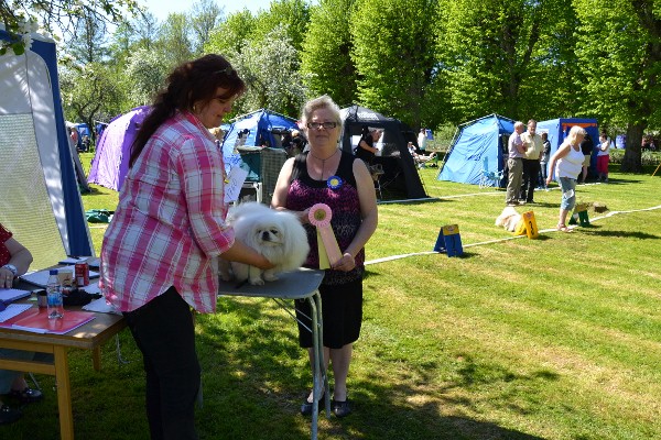 Denna bild har ett alt-attribut som Ã¤r tomt. Dess filnamn Ã¤r DSC_0380-Kopia-600x400.jpg
