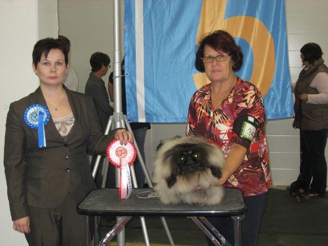 Denna bild har ett alt-attribut som Ã¤r tomt. Dess filnamn Ã¤r bono-1-640x4801.jpg